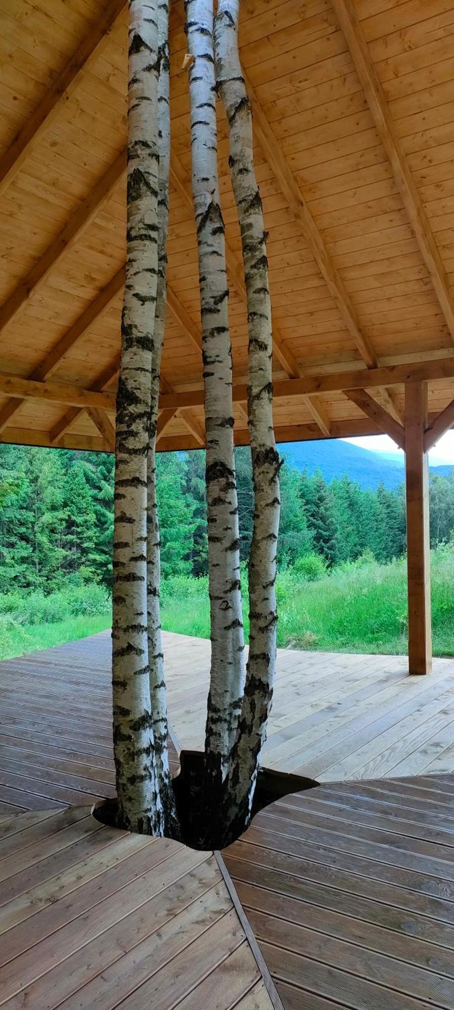 Pod Wielka Zalesiona Gora Wetlina Exterior photo